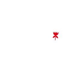电子商务网站定制