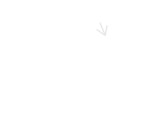 电子商务网站定制